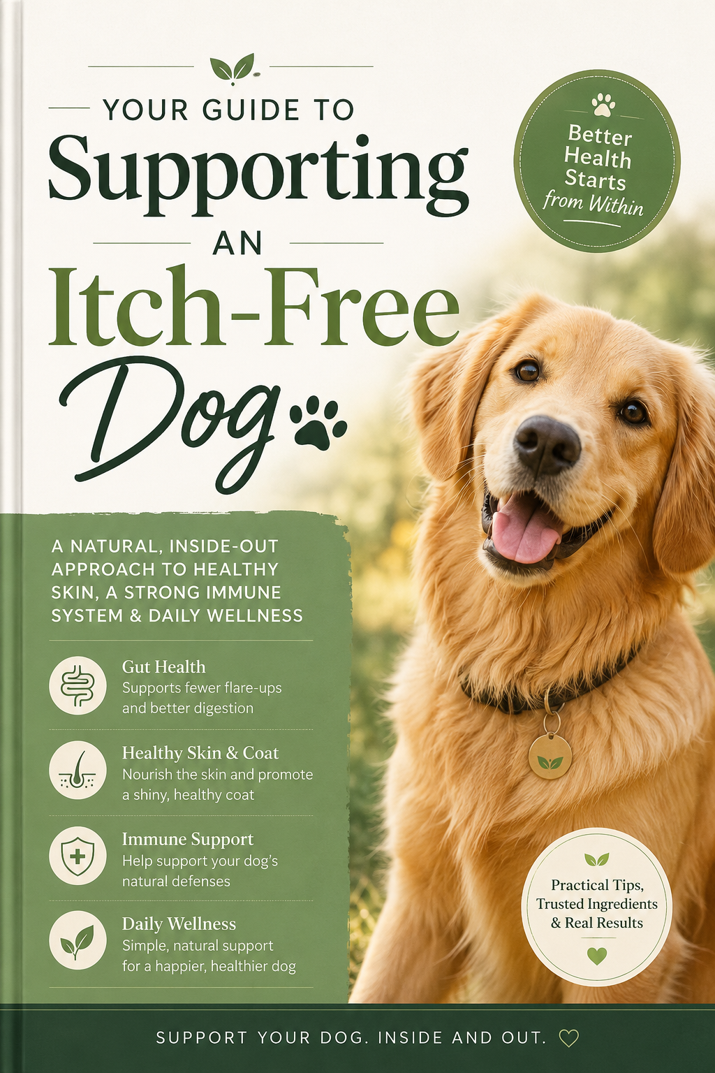 Your Guide to Supporting an Itch-Free Dog 🐾